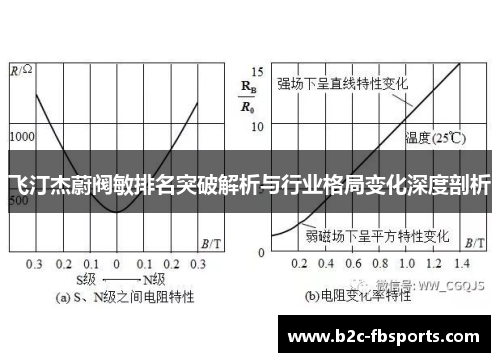 飞汀杰蔚阀敏排名突破解析与行业格局变化深度剖析